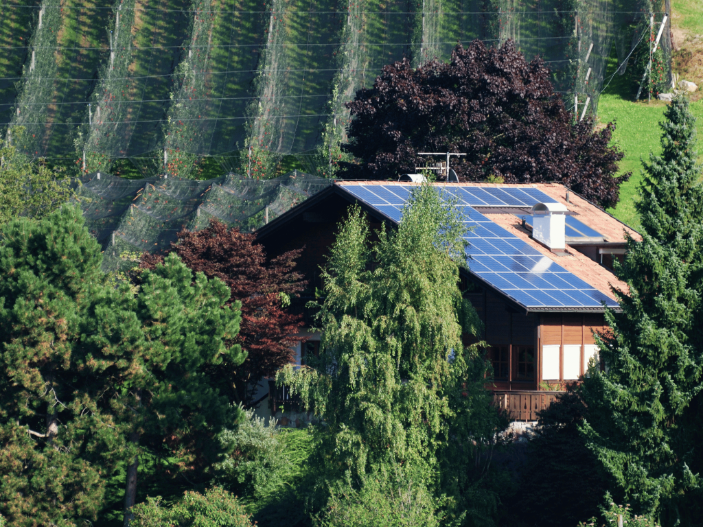 Umzugsunternehmen Detmold, Umzug Detmold, Umzugsservice Detmold – Ihr Partner für Umzüge